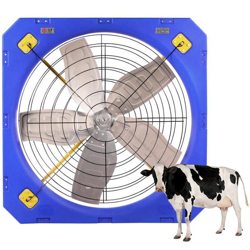 610RPM ঘূর্ণন গতি সরাসরি ড্রাইভ মোড এবং 50-60HZ ফ্রিকোয়েন্সি সহ গবাদি পশু বায়ুচলাচল ফ্যান