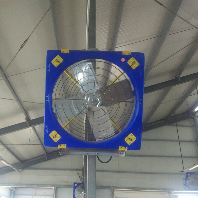 উচ্চ শক্তি PE ফ্রেম সঙ্গে শক্তি দক্ষ 410w হাঁস-মুরগি খামার বায়ুচলাচল ফ্যান সার্কুলেশন ফ্যান