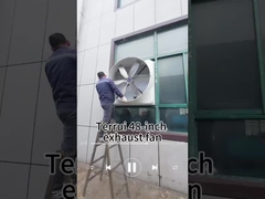 কার্যকারিতা 60m3/h শিল্প নিষ্কাশন ফ্যান 3φ/380V/50HZ পাওয়ার 1.8A বর্তমান তীব্রতা