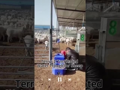 তাপ সংরক্ষণ নির্ভরযোগ্য জল সরবরাহের জন্য গবাদি পশু জল ট্যাঙ্ক 200 কেজি ক্ষমতা