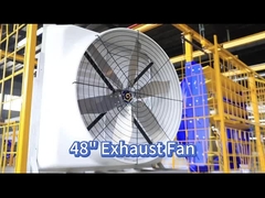 পোল্ট্রি ফ্যান এবং পিএমএসএম মোটরের সাহায্যে 121139 মি 3 / ঘন্টা বায়ু সঞ্চালনের উন্নতি করুন