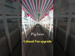 ভলিউম শিল্প নিষ্কাশন ফ্যান 72 ইঞ্চি ব্লেড ব্যাসার্ধ IP55 সুরক্ষা গ্রেড