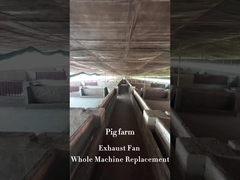 1830mm ব্লেড ব্যাসার্ধ শিল্প ফ্যান শক্তি বৈশিষ্ট্যযুক্ত ডাবল-স্তর PE ফ্রেম উপাদান