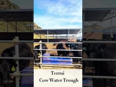 লাইভস্টক অটো ওয়াটার