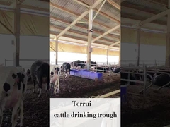 গবাদি পশুদের জন্য 220V300W গরম করার ডিস্কের 3 সেট সহ এলএলডিপিই গবাদি পশু অটো ওয়াটার