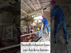 পরিবর্তনশীল গতি 120cm REFINE এক্সজাস ফ্যান 56.4m3/h বায়ু ভলিউম 48000m3/h বায়ু প্রবাহ ক্ষমতা