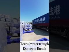 গবাদি পশু অটো ওয়াটার