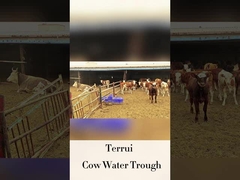 পানীয় উচ্চতা 250 মিমি সঙ্গে গবাদি পশু স্বয়ংক্রিয় জলবাহী LLDPE প্রবাহ হার