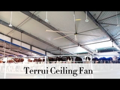 9.53m3/min বায়ু প্রবাহ শিল্প সিলিং ফ্যান 14300 m3/min সর্বোচ্চ আউটপুট