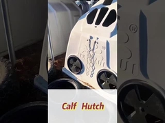 বিচ্ছিন্ন সাদা আয়তক্ষেত্রাকার পলিথিলিন দুগ্ধজাত গরুর বাছুর