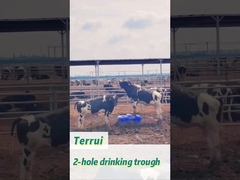 85 লিটার ক্ষমতা ভারী দায়িত্ব পলিথিলিন প্রবাহ হার সঙ্গে পশুপালন জল ট্যাংক