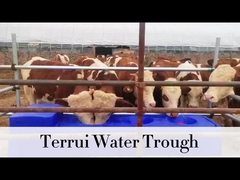 ৮৫ লিটার ব্লু হেভি ডিউটি ওয়াটারিং ট্যাঙ্ক ৩/৪ ব্লেডড হোস সহ