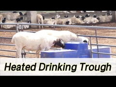 ২৬০ লিটার ক্ষমতা এবং ১৯০ মিমি পানীয় উচ্চতার সাথে উচ্চ ক্ষমতা সম্পন্ন গরু পানীয়