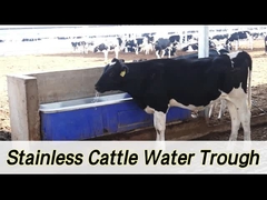 2 সেট 1800W নিয়মিত গরম পশুধন অটো ওয়াটার সঙ্গে প্রবাহ হার 100-120L / মিনিট