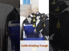 120L/মিনিট প্রবাহ হার প্রতিরোধী পলিথিলিন গরুর পানীয় জলের কূপ