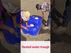 50 লিটার/মিনিট প্রবাহ হার গবাদি পশু স্বয়ংক্রিয় পানি