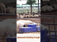 120L/মিনিট প্রবাহ হার গরু পানীয় 150L কৃষি উৎপাদন ক্ষমতা