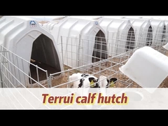 বাছুরের জন্য বায়ুচলাচল করা বাছুরের ঘর