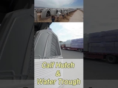 স্বাস্থ্য এবং সুস্থতার জন্য 220*145*145 সেমি আয়তক্ষেত্রাকার দুগ্ধজাত বাছুরের শাবক