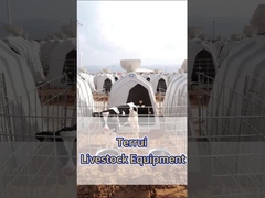 সাদা পলিথিলিন দুগ্ধজাত গরুর বাছুর খামার দুগ্ধ উৎপাদনের জন্য প্রয়োজনীয় সরঞ্জাম