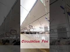 শক্তি সঞ্চয় এবং শিল্প ফ্যান 2000w/2.7hp সঙ্গে