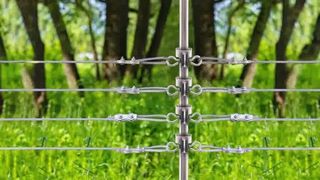 আপনার পশুসম্পদ সুরক্ষিত করুন: বৈদ্যুতিক বেড়াতে টি-পোস্ট ইনসুলেটর কীভাবে ইনস্টল করবেন
