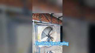 হাই-বেগ ভেন্টিলেশন: টেরুই ইন্ডাস্ট্রিয়াল এক্সহস্ট ফ্যান ইন অ্যাকশন